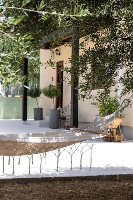 Olive Garden Villa Chania Chania  Exteriér fotografie